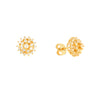 Brincos Chuveiro em Ouro 19kl com Zirconias