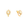 Brincos Chuveiro em Ouro 19kl com Zirconias