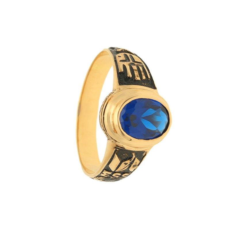 Anel de Curso (ESS - IPS) em Ouro com Topazio Azul Escuro (T16) - Loja do Ouro