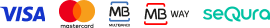 Payment icons
